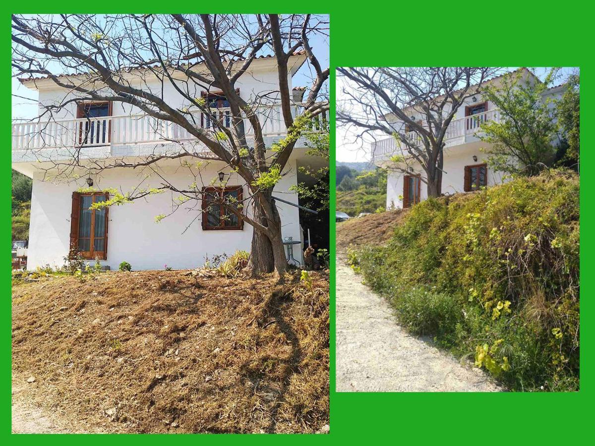 Ferienwohnung Kampos View Ikaria Évdilos Exterior foto