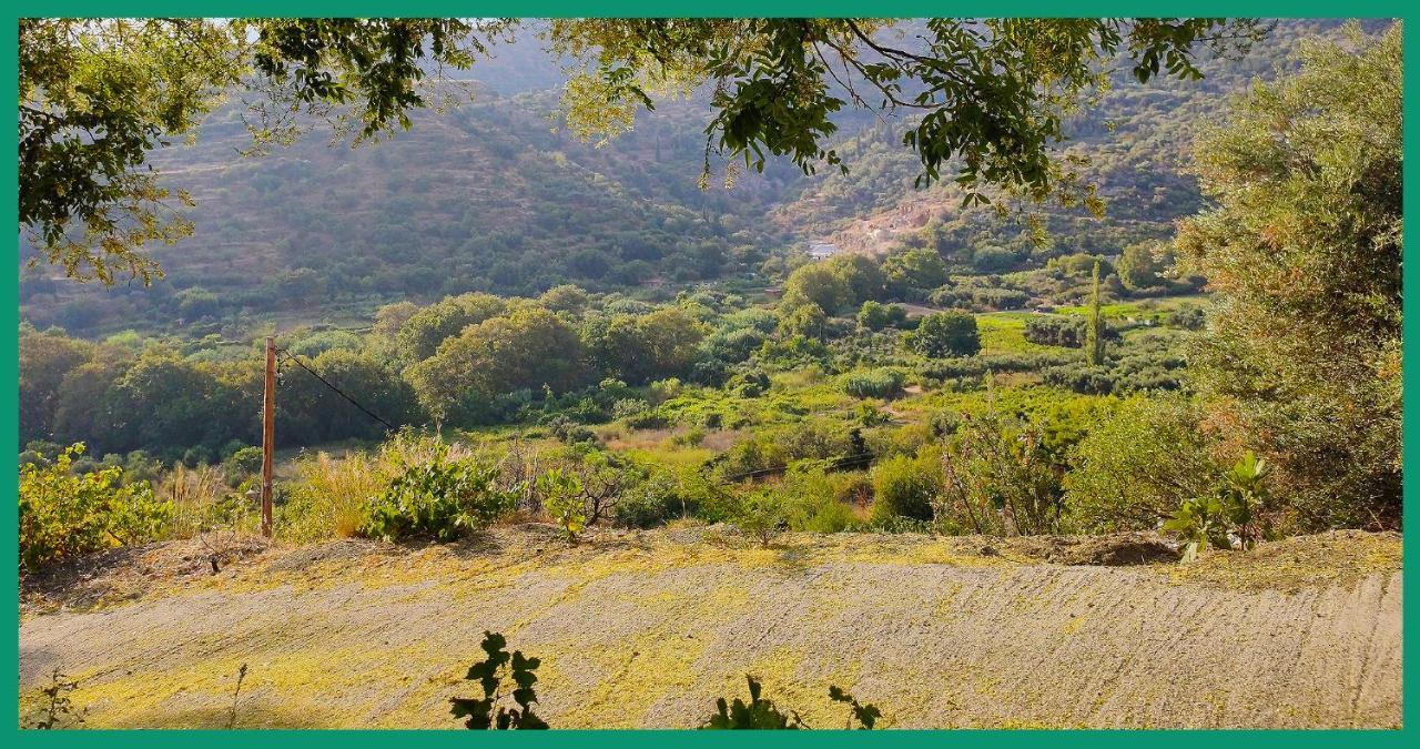 Ferienwohnung Kampos View Ikaria Évdilos Exterior foto