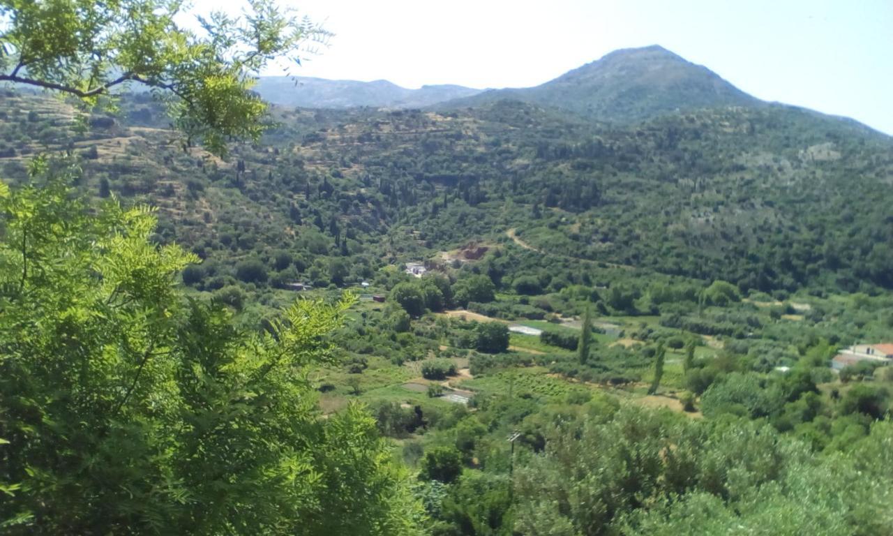 Ferienwohnung Kampos View Ikaria Évdilos Exterior foto
