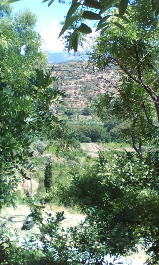Ferienwohnung Kampos View Ikaria Évdilos Exterior foto